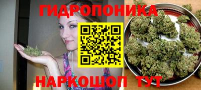 трава Железногорск